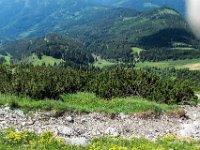 027 Tiefblick zur Schalleralm 1345 m